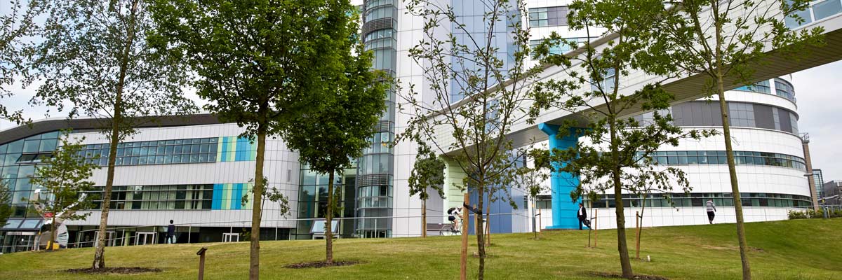 Picture of building with trees